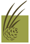 logo Alpenwellness Eschgfeller
